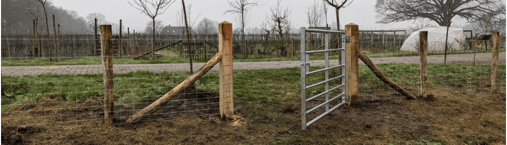 Sheep fence