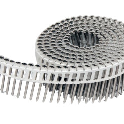 Coil nails SS - various lengths