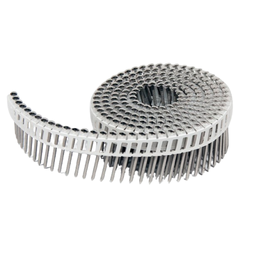 Coil nails SS - various lengths
