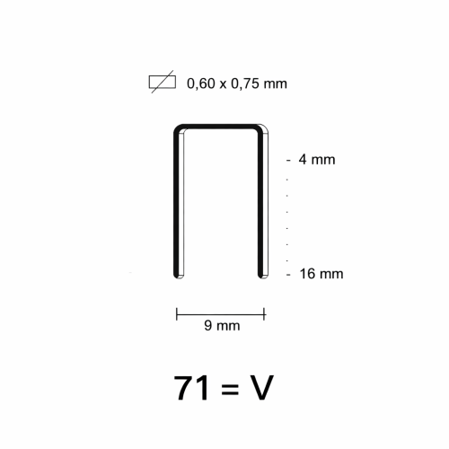 71 Staple, SS, different lengths