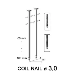 Rolnagel 3,00 x 100 mm, spiraal