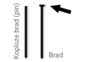 koploze brad